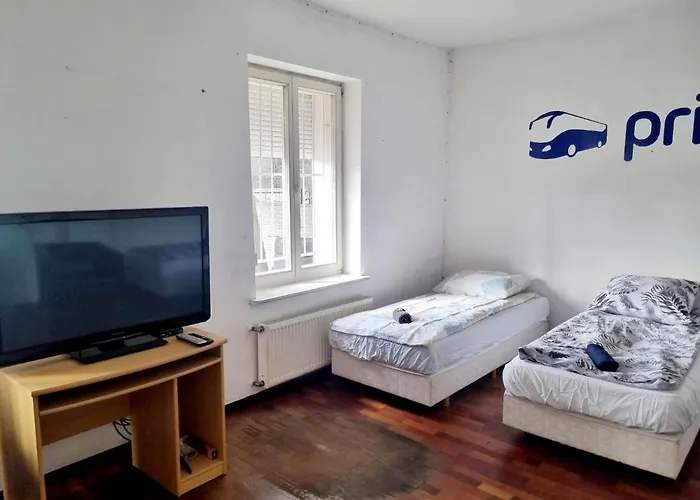 Primax Проживание в семье *