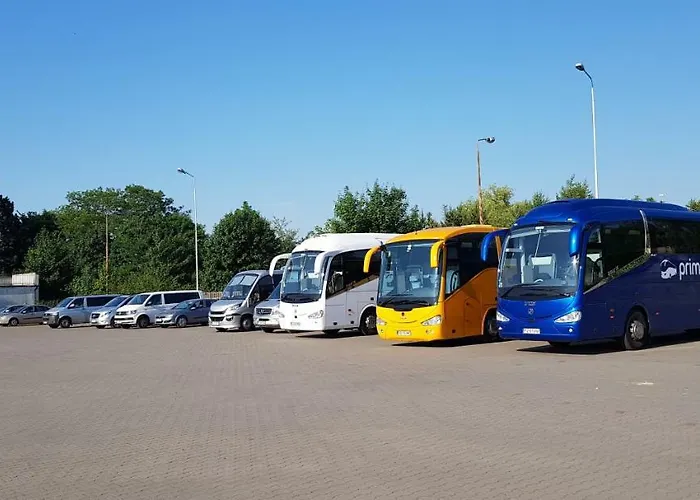 Primax Проживание в семье